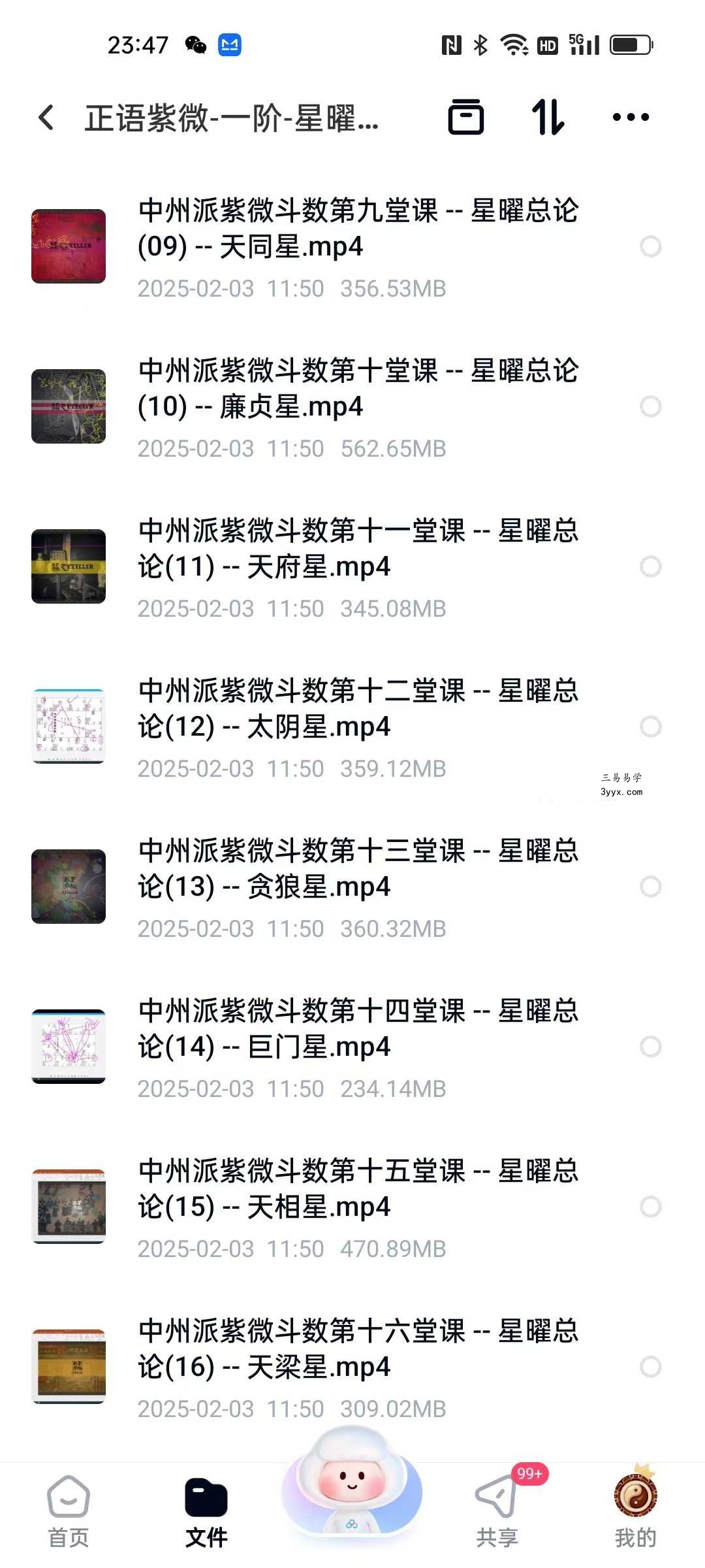 正语紫微（一阶）星曜总论 资料图片