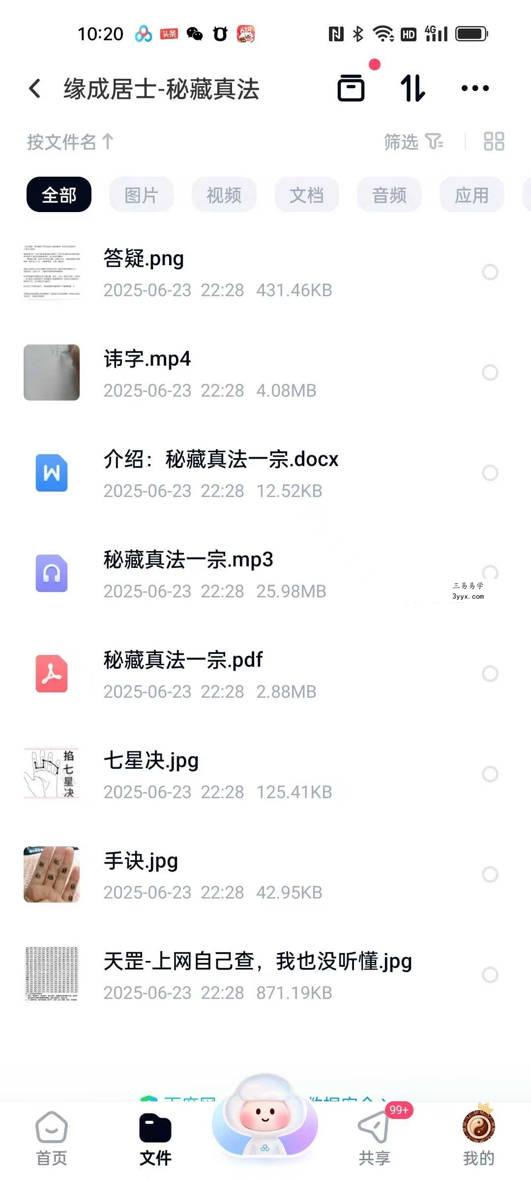 缘成居士《秘藏真法一宗》视频+课件 资料图片
