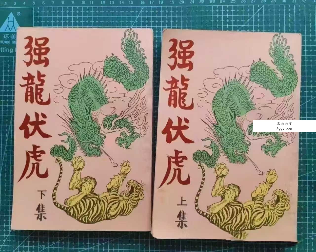 于海洲《强龙伏虎》2册 资料图片