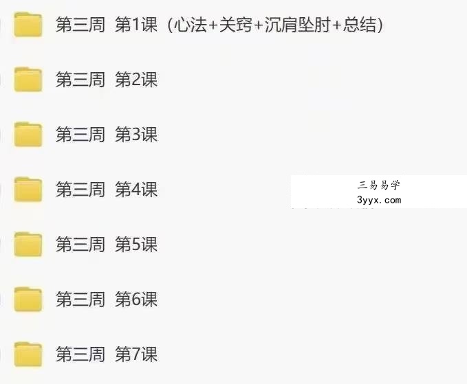 【桩功好课】桩道天周天高功班 七周49天练跟好课 全167讲频视课 资料图片