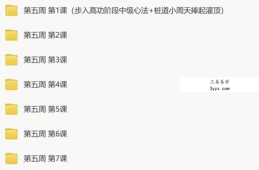【桩功好课】桩道天周天高功班 七周49天练跟好课 全167讲频视课 资料图片