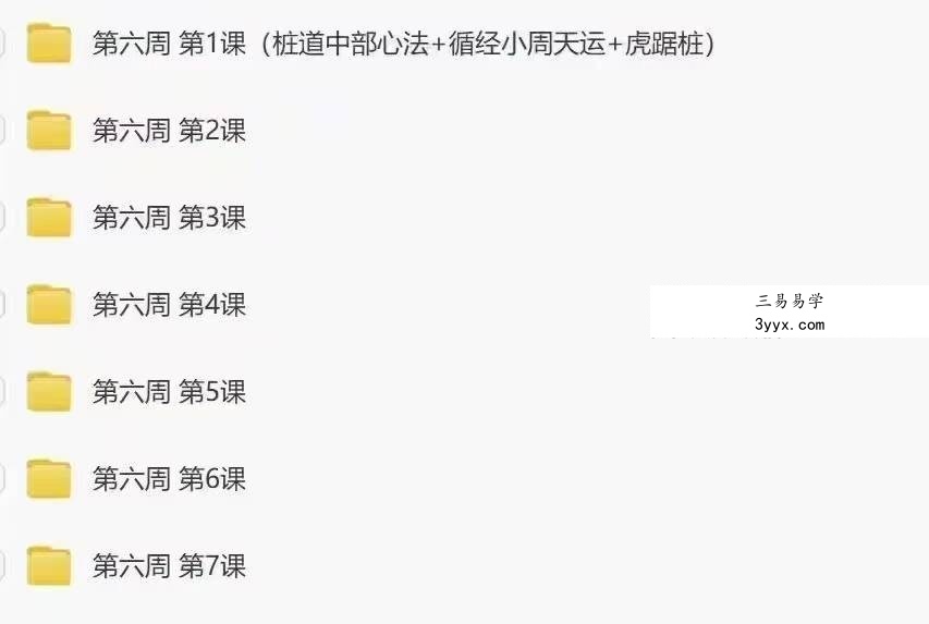 【桩功好课】桩道天周天高功班 七周49天练跟好课 全167讲频视课 资料图片