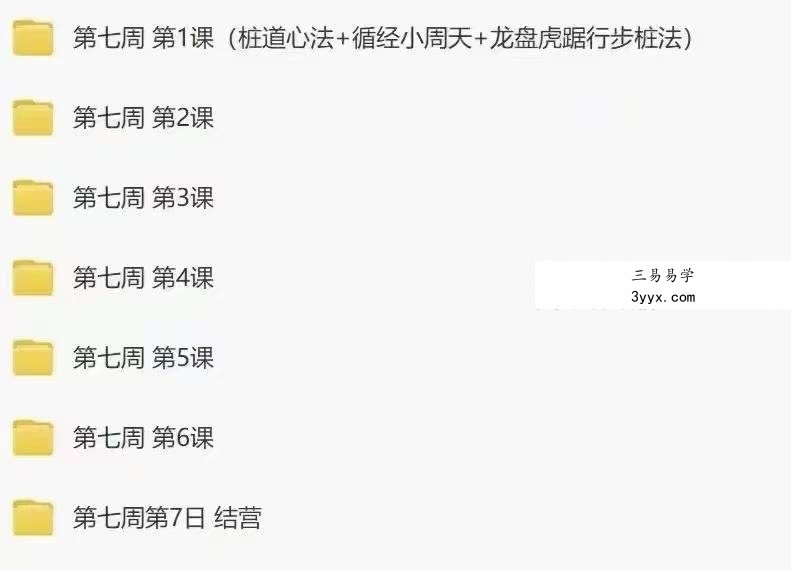 【桩功好课】桩道天周天高功班 七周49天练跟好课 全167讲频视课 资料图片