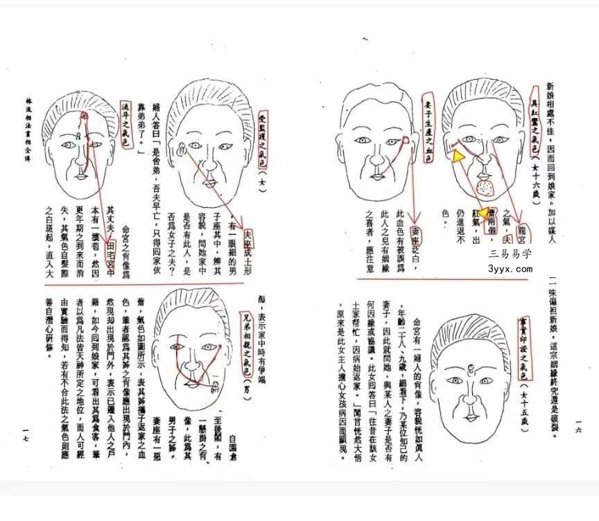 林文岭 林流相法面相气色全书 资料图片