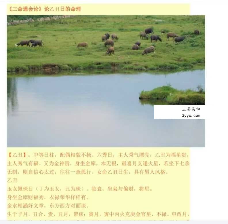 双飞排盘《一柱论命》194页 资料图片