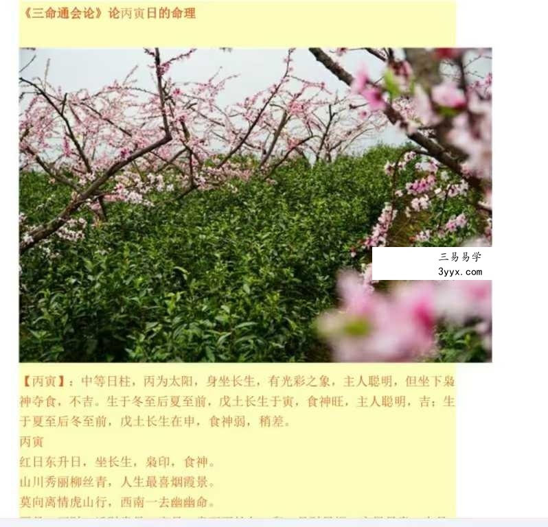 双飞排盘《一柱论命》194页 资料图片