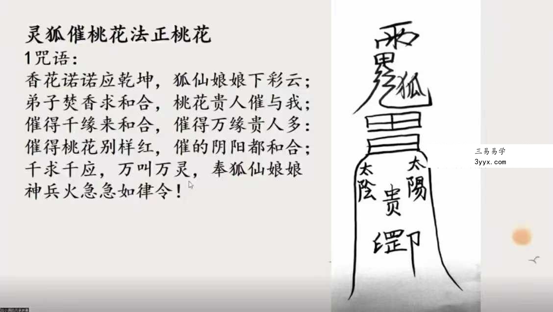 刘小满亲传《实用祝由术》视频直播课11集 资料图片