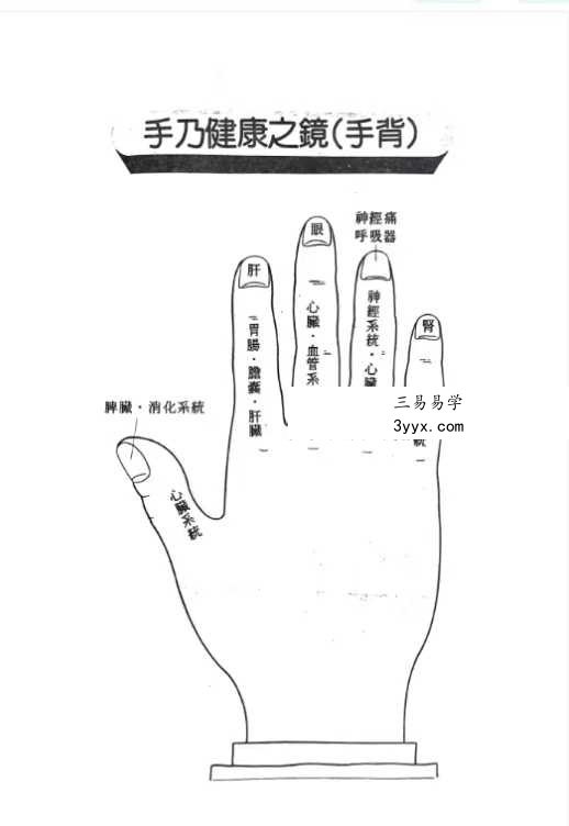 《由手相看健康》209页 资料图片