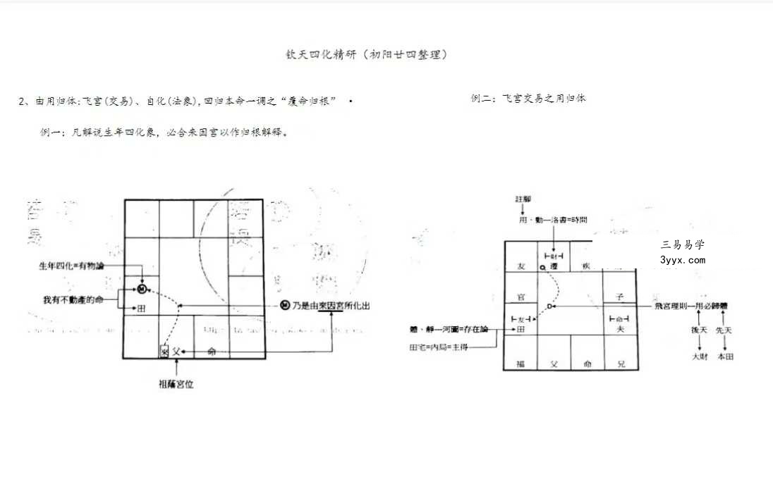 若提孤隐 紫薇斗数钦天四化精研 笔记 498页 资料图片