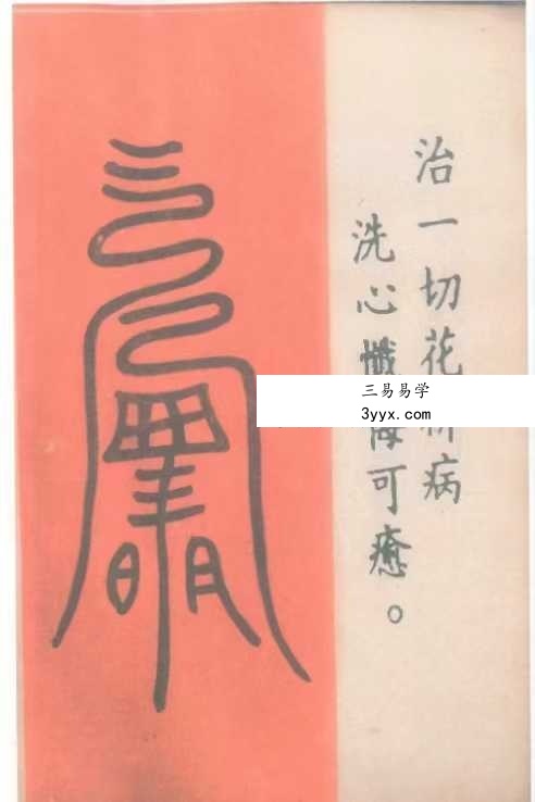 《道医治病符法》48页 资料图片