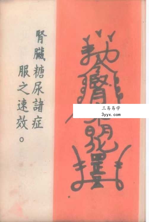 《道医治病符法》48页 资料图片