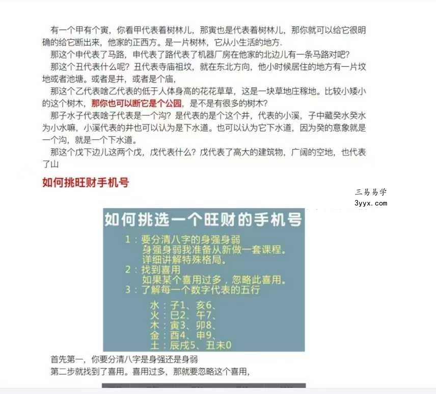 九龙道长笔记196页 资料图片