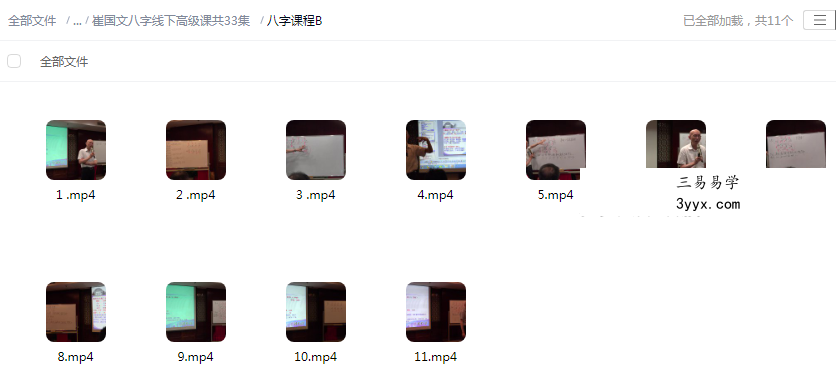 崔国文八字线下基础课+高级课 资料图片