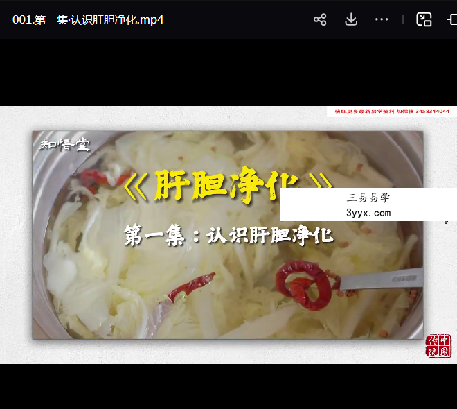 悟道堂-肝胆净化养生28集视频课程 资料图片
