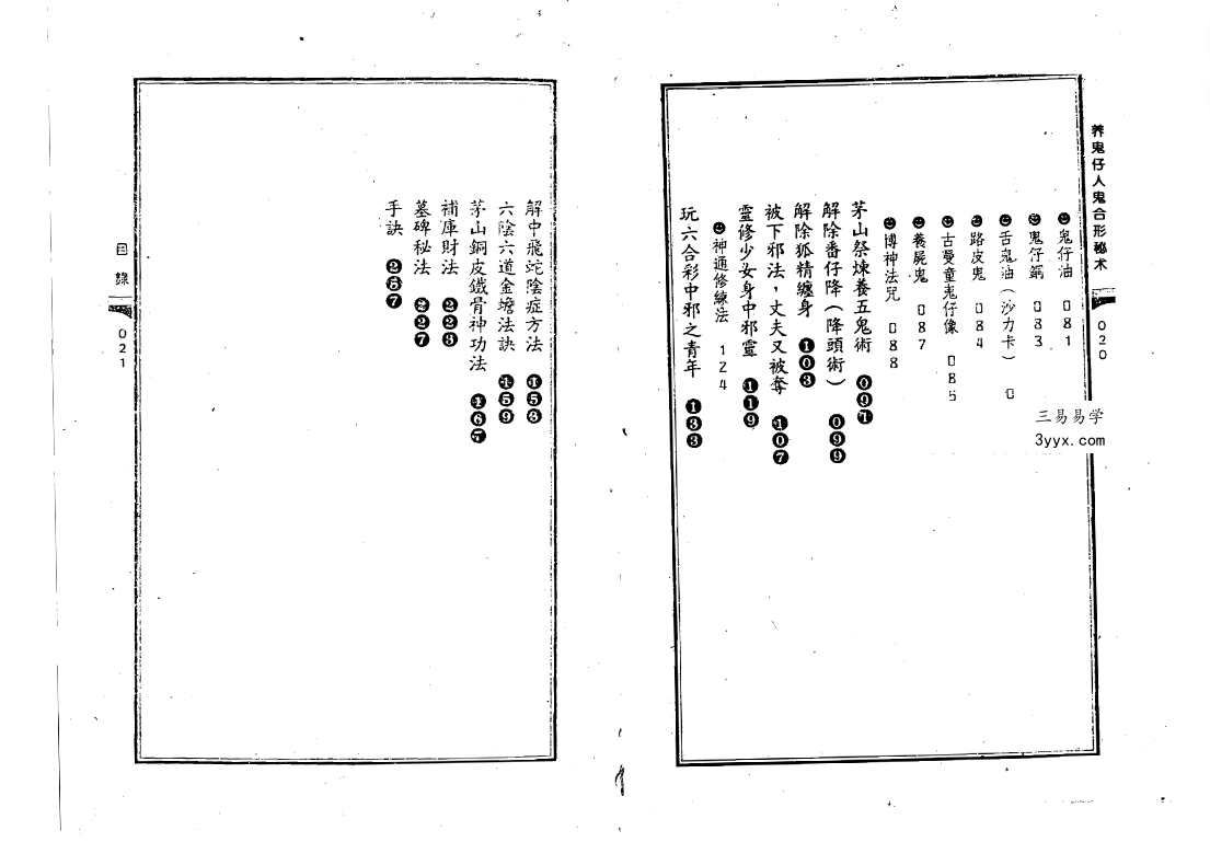 苏连龙-养鬼仔人鬼合形秘术288页 资料图片
