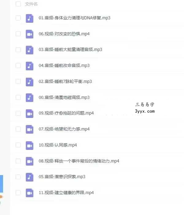 全息基础课程 ：睡眠能量清理与自我释放小个案，轻松跨越旧能量的高频转化课12集 资料图片