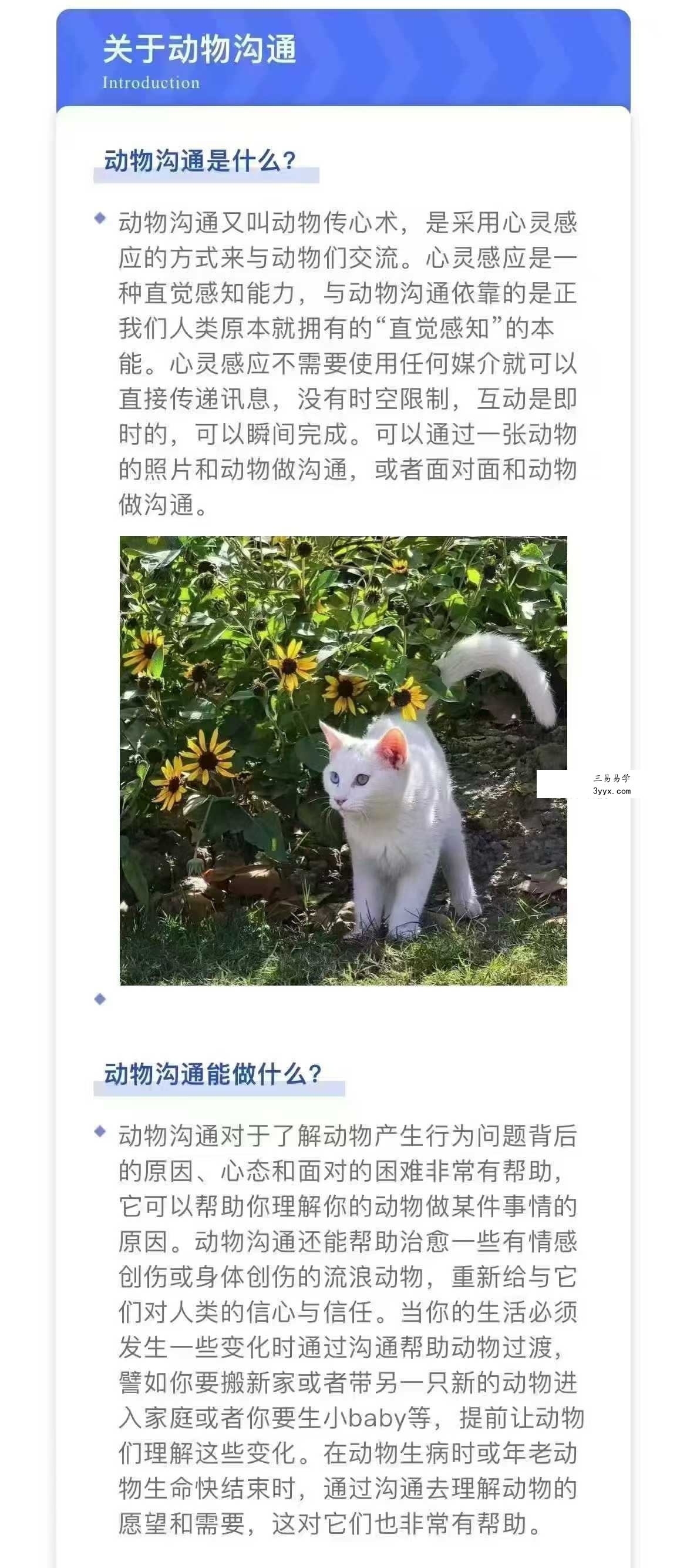 梵拉之海 动物沟通13节音频 资料图片