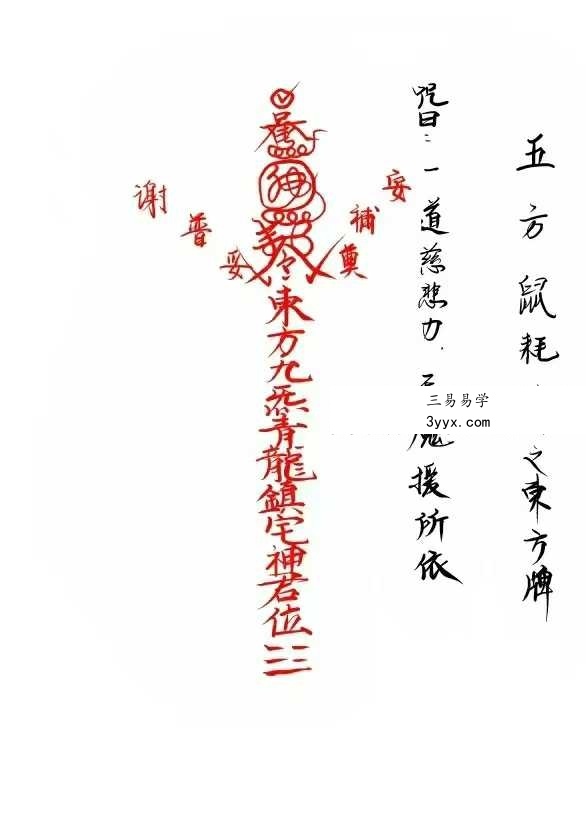 普庵派法本《先天普庵符法》20页 资料图片