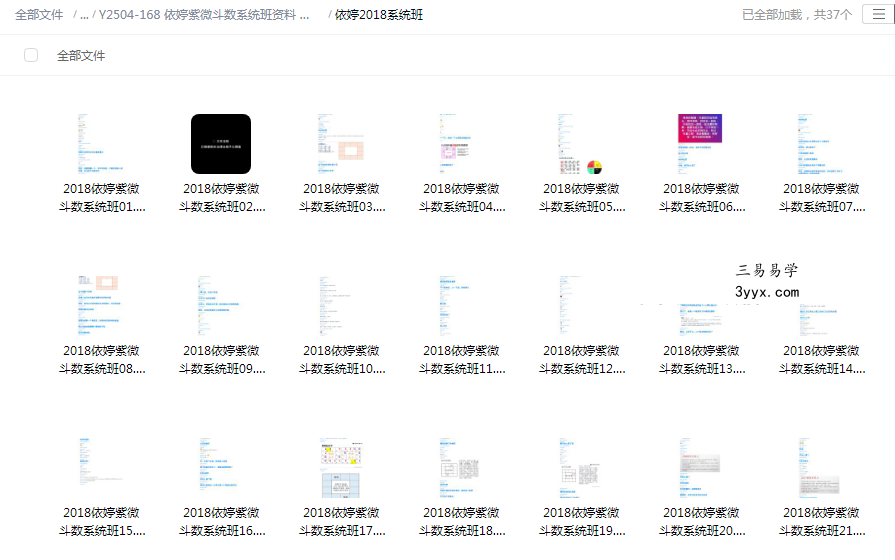 依婷紫微斗数系统班资料 预测流年家运 384.59MB 资料图片