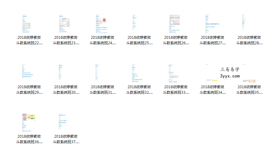 依婷紫微斗数系统班资料 预测流年家运 384.59MB 资料图片
