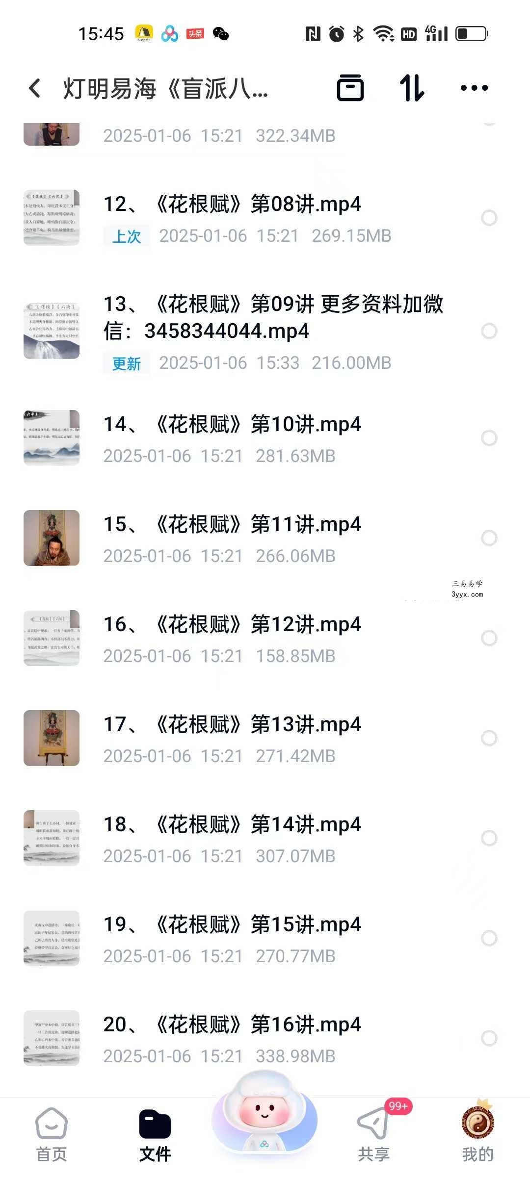 灯明易海《盲派八字探秘花根赋》20集 资料图片