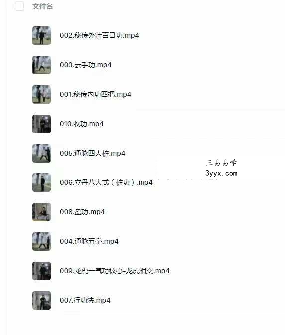 阎子龙 丹道秘传 筑基功法（龙虎一炁功）10集视频 资料图片