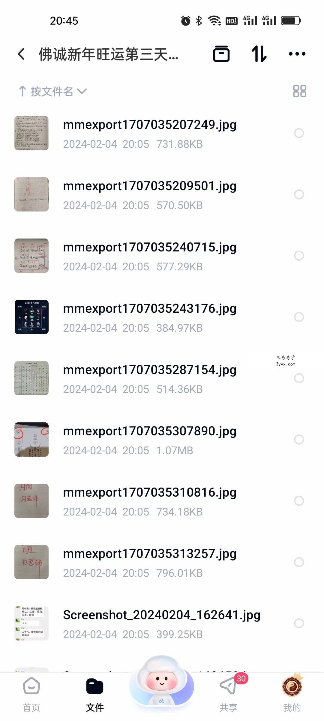 佛诚2024新春旺运法微课视频+课件 资料图片
