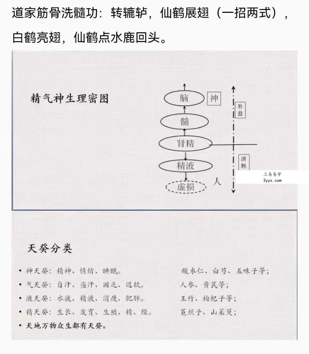 莲诺 道家隐修术男女强肾气养生功法（22节课程） 资料图片