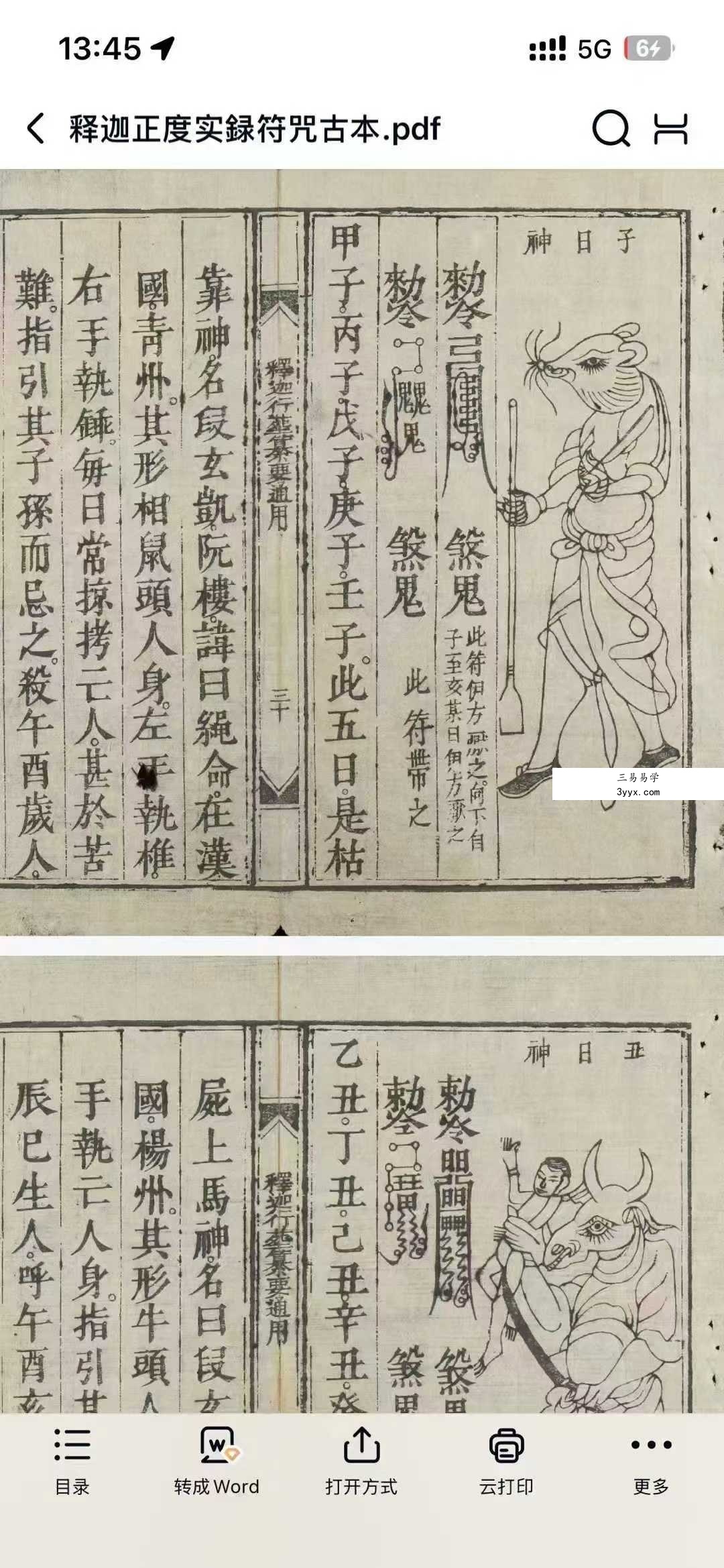 《释迦正度实録古籍佛教道教法术符咒灵符道术》120页 资料图片