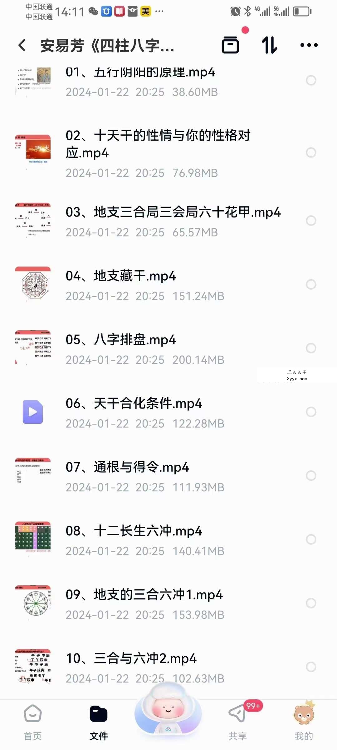 安易芳《四柱八字》37集 资料图片