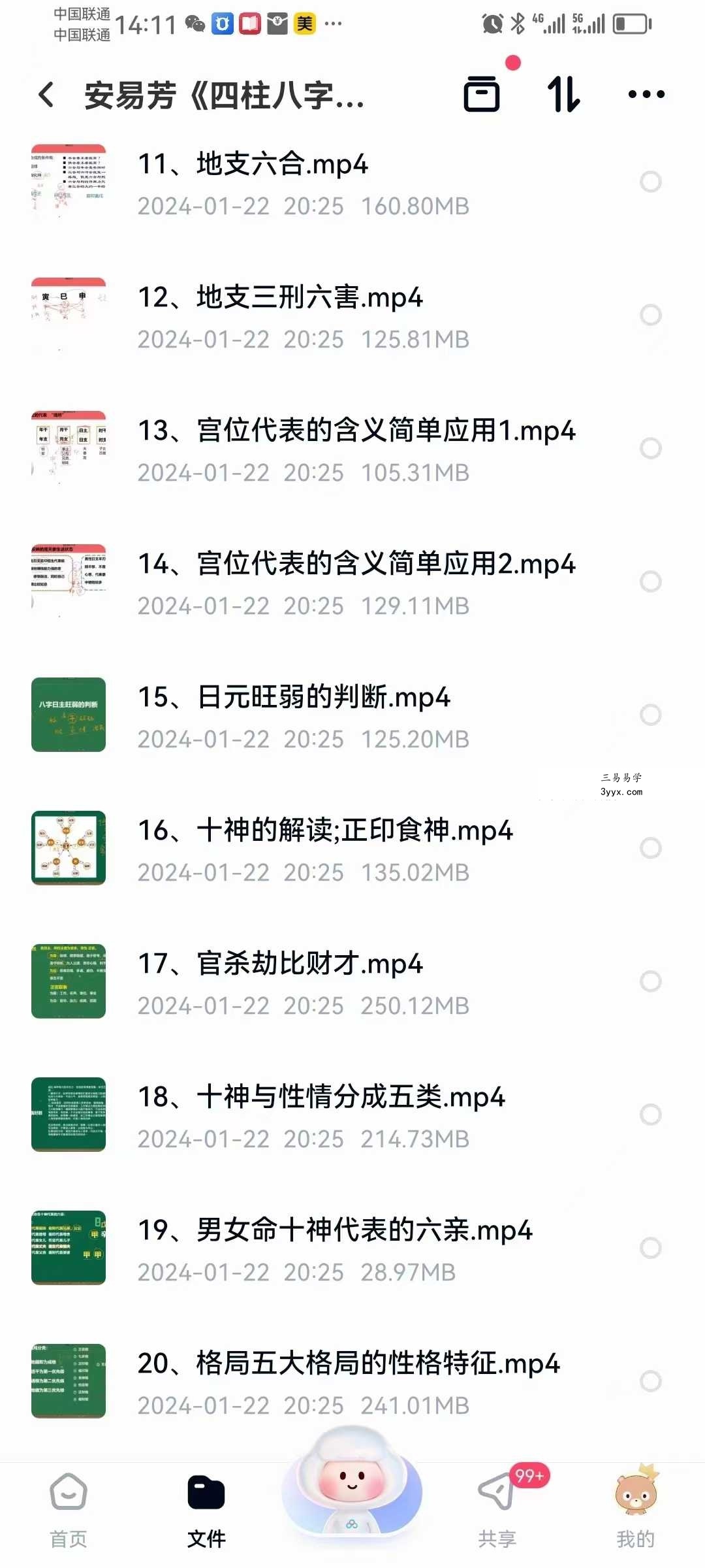 安易芳《四柱八字》37集 资料图片