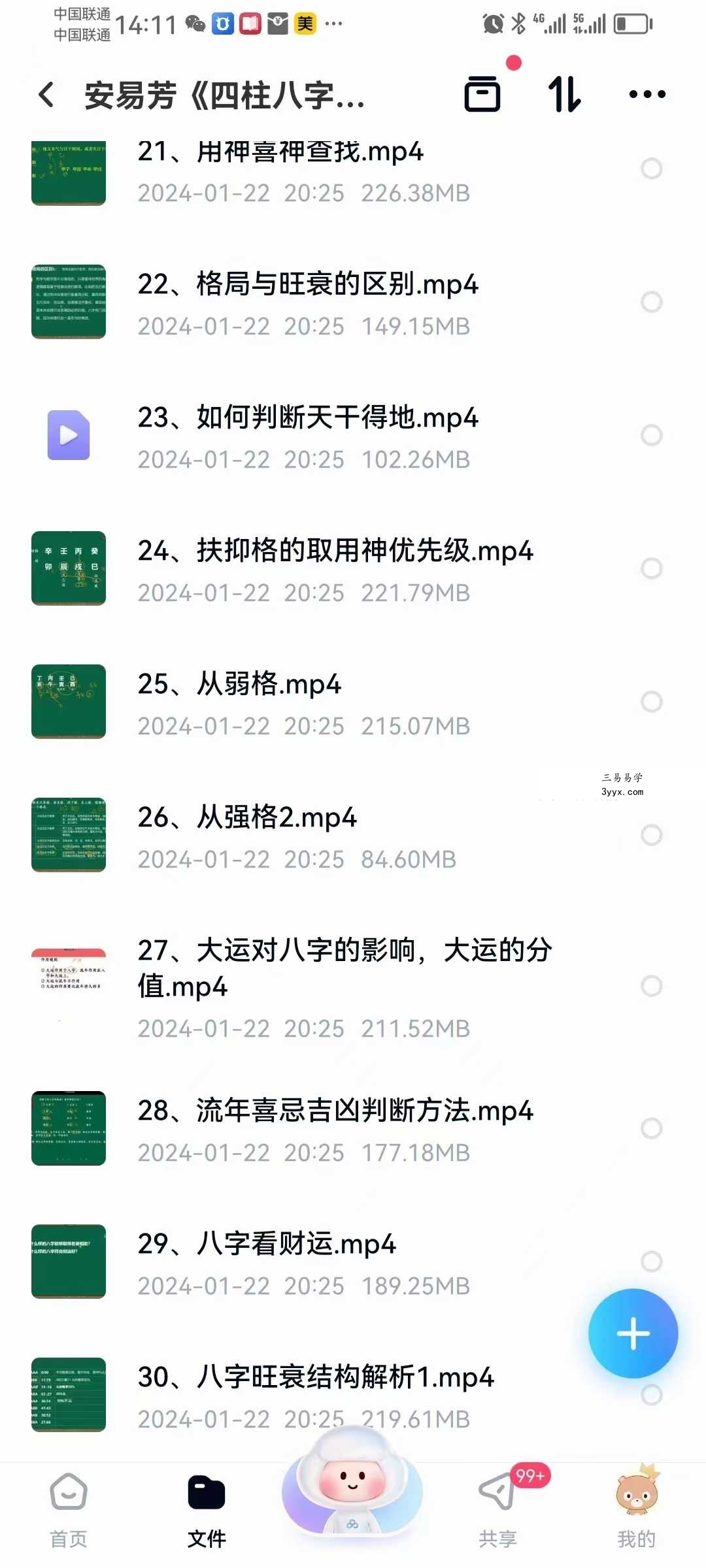 安易芳《四柱八字》37集 资料图片