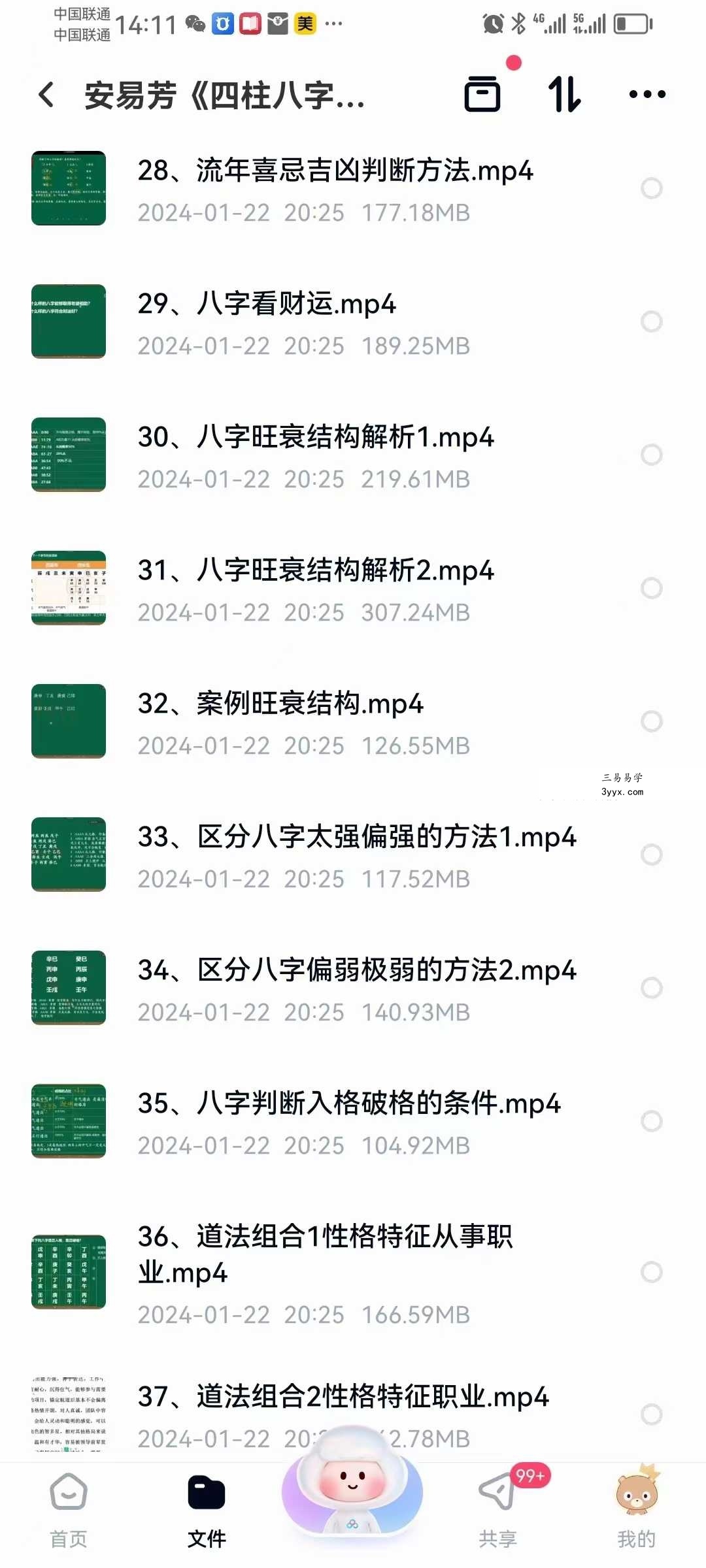 安易芳《四柱八字》37集 资料图片