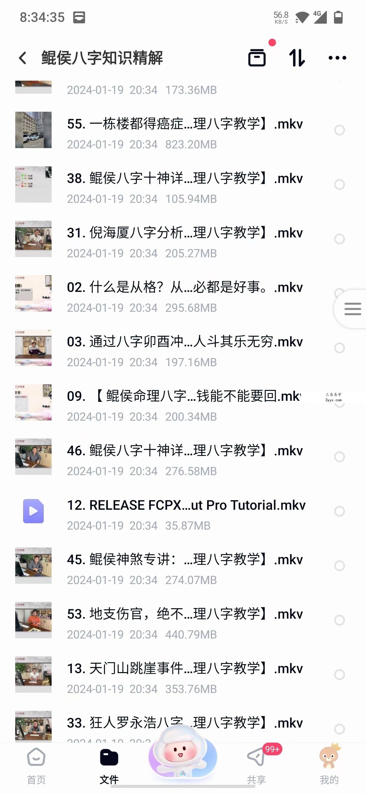 鲲侯八字知识精解55集 资料图片