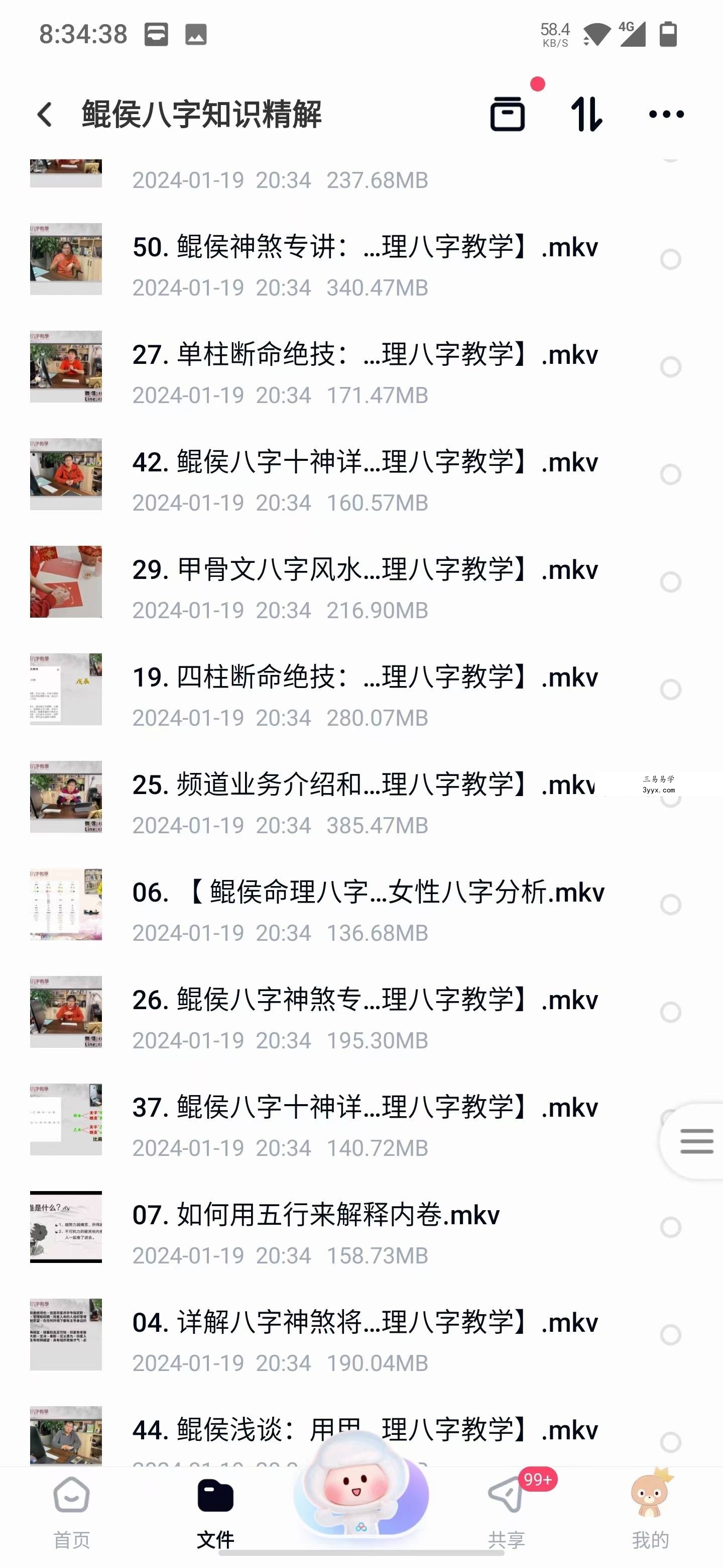 鲲侯八字知识精解55集 资料图片
