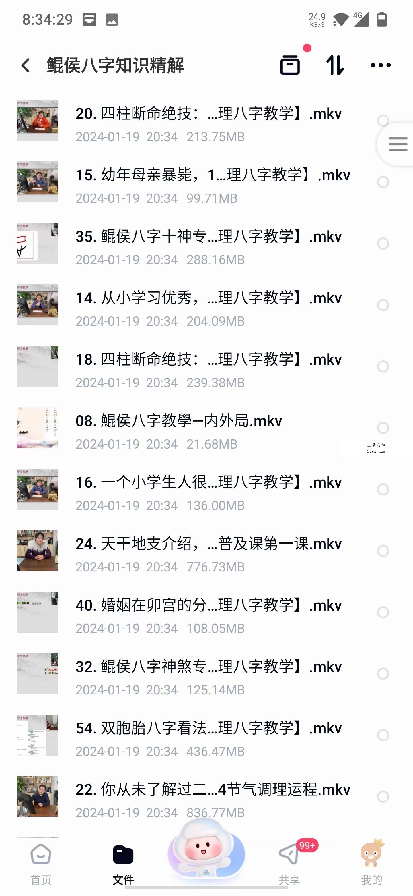 鲲侯八字知识精解55集 资料图片
