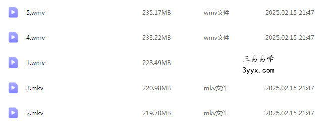 王庆2020年1月和2月八字测师班视频+录音 资料图片