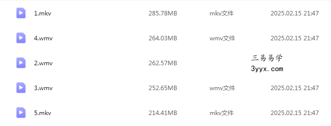 王庆2020年1月和2月八字测师班视频+录音 资料图片