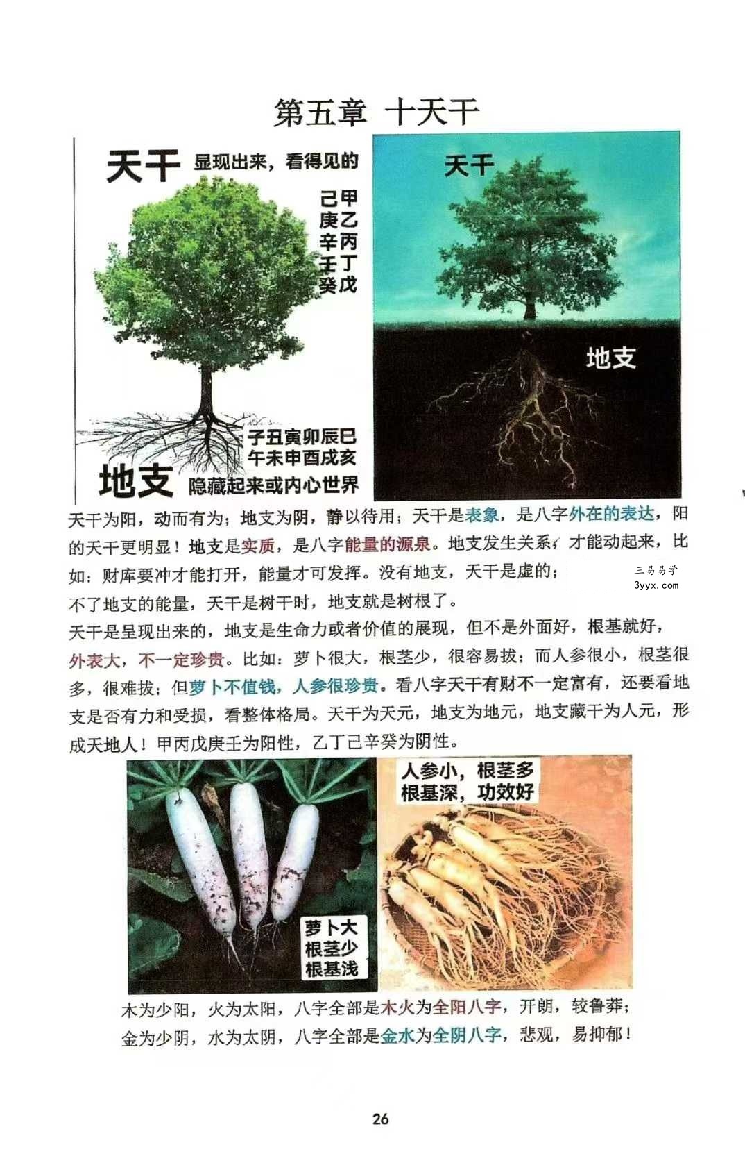 如何看八字《趣味八字》146页 资料图片