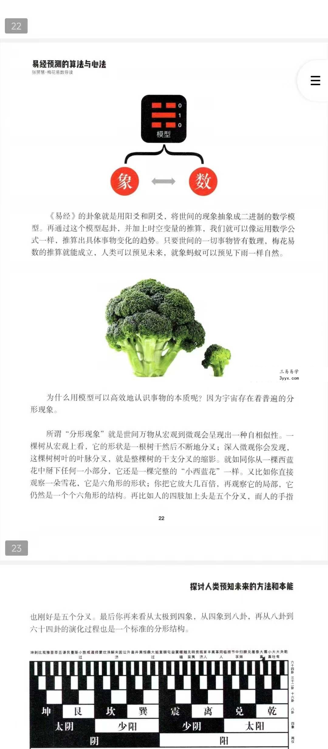张赟慧 人生算法课《梅花易数导读》易经预测的算法与心法 资料图片