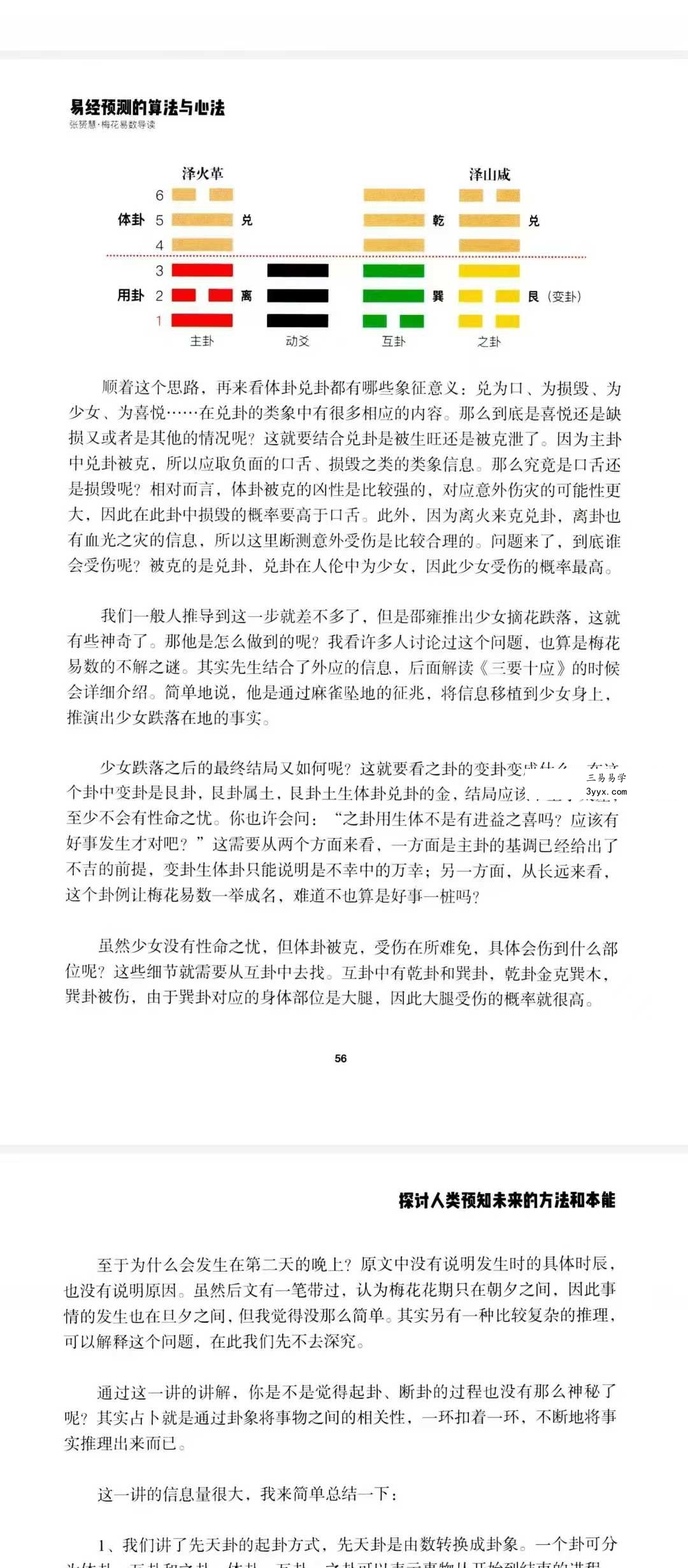 张赟慧 人生算法课《梅花易数导读》易经预测的算法与心法 资料图片