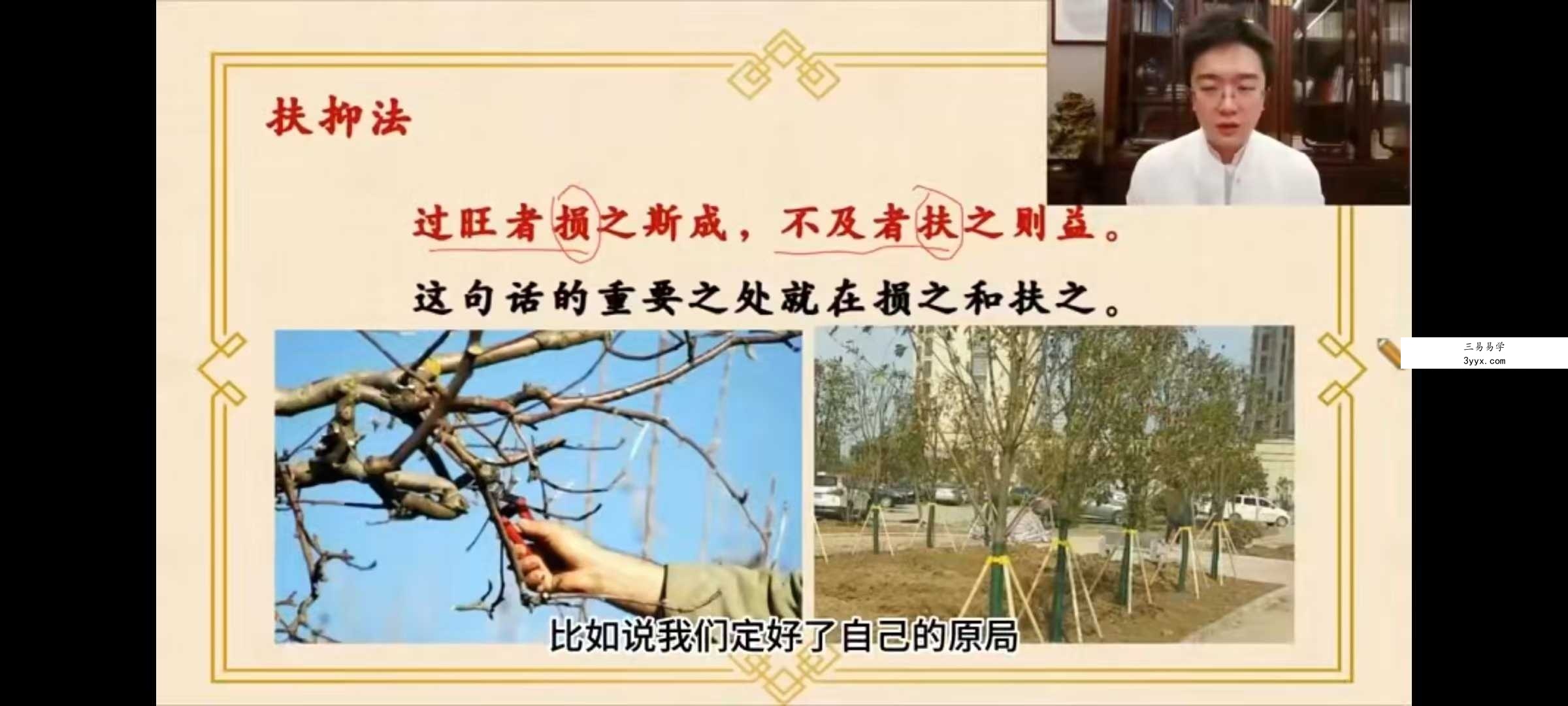 韩少嵛真神论命真神论命法15集+资料 资料图片