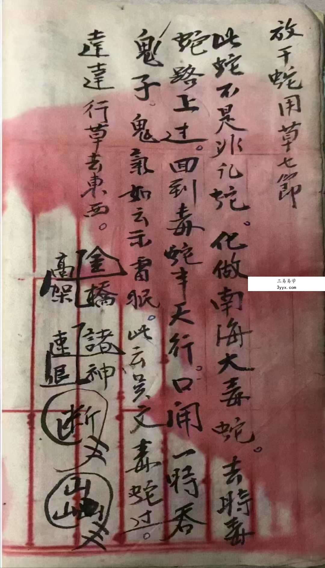 《茅山毒术秘书》200页 资料图片