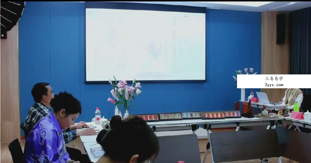 凌依宸 奇门遁甲布局研讨会25集 资料图片