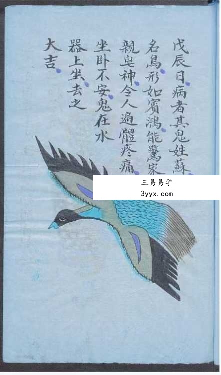 《法病书》80页 资料图片