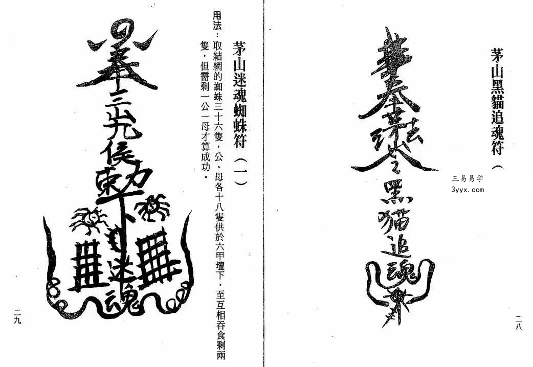 谢任芳 茅山法术《六甲天书》161页 资料图片