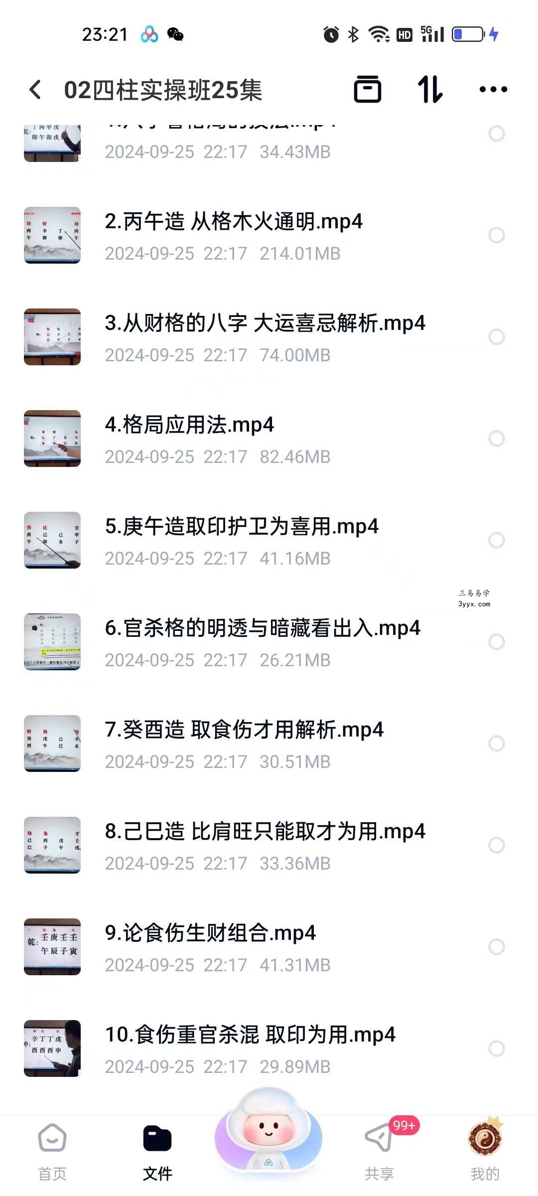晟煜四柱八字 初级+中级+高级 资料图片