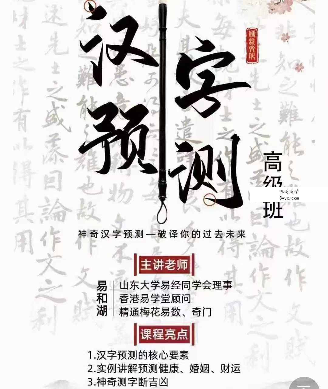 易和湖【神奇汉字预测】高级班 4集 资料图片