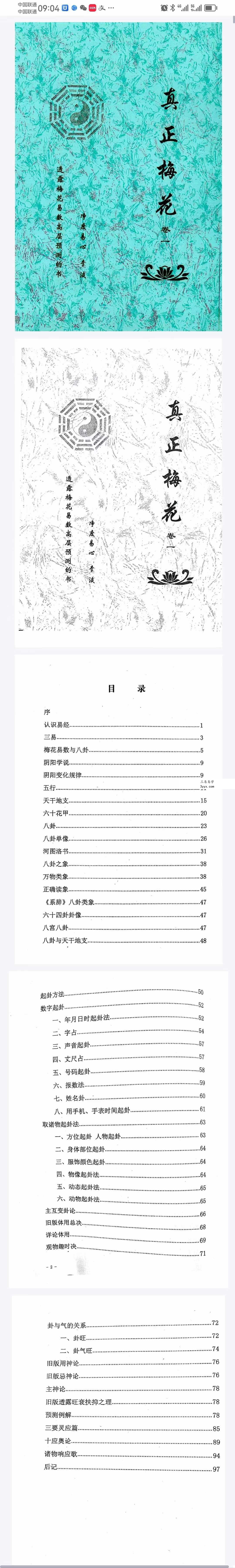 净度易心 李液《真正梅花》《阴阳梅花》 资料图片