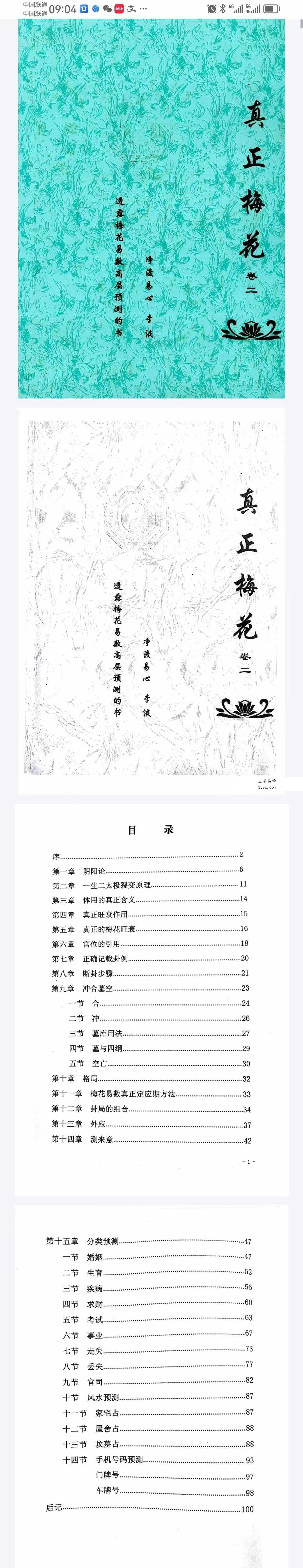 净度易心 李液《真正梅花》《阴阳梅花》 资料图片
